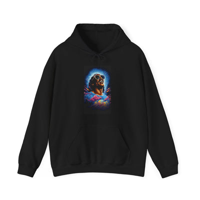 Timeless Steve Wonder Hooded Sweatshirt