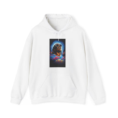 Timeless Steve Wonder Hooded Sweatshirt